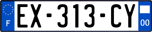 EX-313-CY