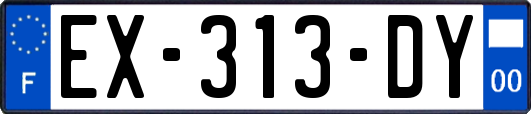 EX-313-DY