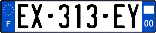 EX-313-EY