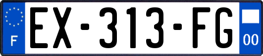 EX-313-FG