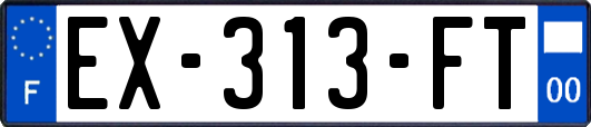 EX-313-FT