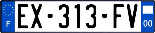 EX-313-FV