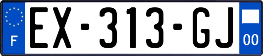 EX-313-GJ