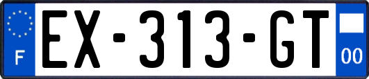 EX-313-GT
