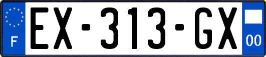 EX-313-GX