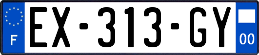EX-313-GY