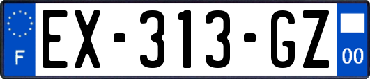 EX-313-GZ