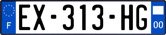 EX-313-HG