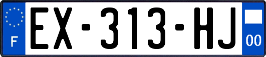 EX-313-HJ