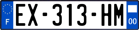 EX-313-HM