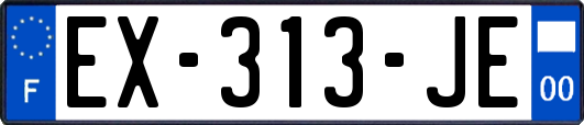 EX-313-JE