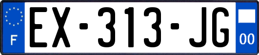 EX-313-JG