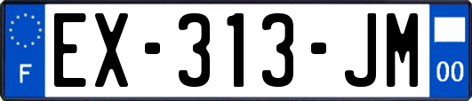 EX-313-JM