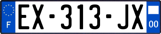 EX-313-JX