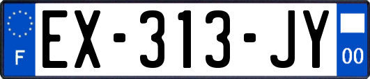 EX-313-JY