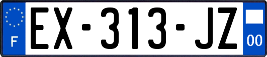 EX-313-JZ