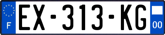 EX-313-KG