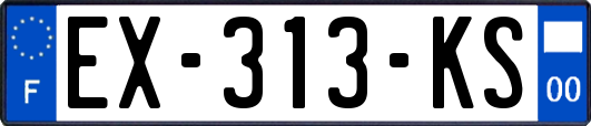 EX-313-KS