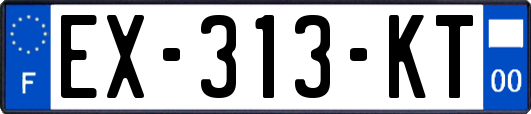 EX-313-KT