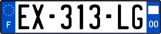 EX-313-LG