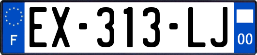 EX-313-LJ