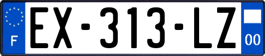 EX-313-LZ