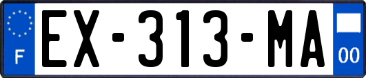 EX-313-MA
