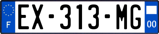 EX-313-MG