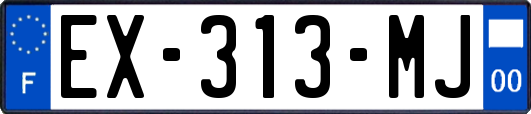 EX-313-MJ