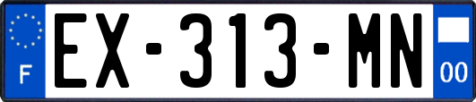 EX-313-MN
