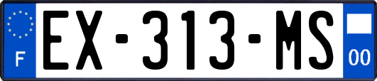 EX-313-MS