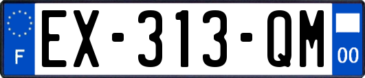 EX-313-QM