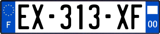 EX-313-XF