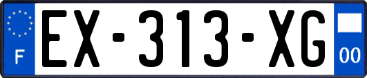 EX-313-XG