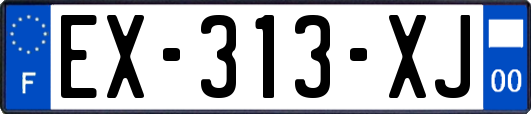 EX-313-XJ
