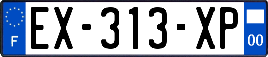 EX-313-XP