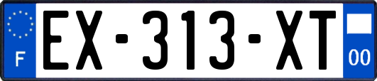 EX-313-XT