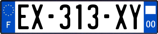 EX-313-XY