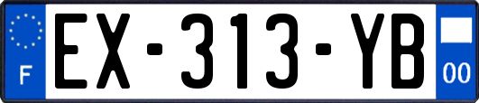EX-313-YB