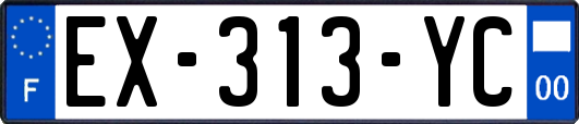 EX-313-YC