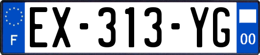 EX-313-YG