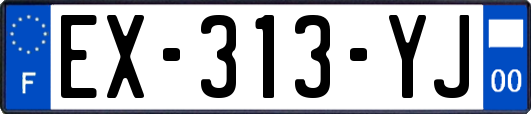 EX-313-YJ