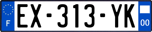 EX-313-YK