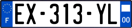 EX-313-YL