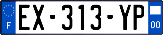 EX-313-YP