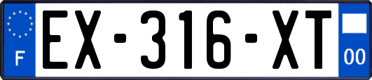 EX-316-XT