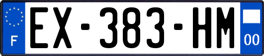 EX-383-HM