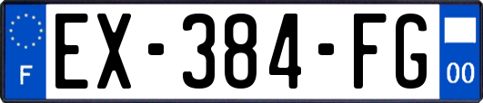 EX-384-FG