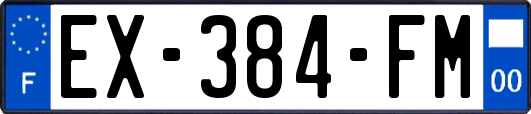 EX-384-FM