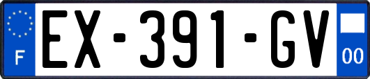EX-391-GV